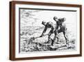 Brown Frame