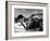 Jean Gabin and Bernard Blier: Le Cave Se Rebiffe, 1961-Marcel Dole-Framed Photographic Print