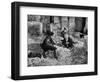 Jean Gabin, Pierre Fresnay and Noël-Noël: Les Vieux de La Vieille, 1960-Marcel Dole-Framed Photographic Print