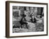 Jean Gabin, Pierre Fresnay and Noël-Noël: Les Vieux de La Vieille, 1960-Marcel Dole-Framed Photographic Print