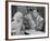 Jean Harlow, Walter Byron, Three Wise Girls, 1932-null-Framed Photographic Print