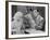 Jean Harlow, Walter Byron, Three Wise Girls, 1932-null-Framed Photographic Print