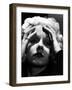 Jean Harlow-null-Framed Photo