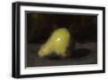 Black Frame