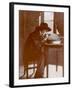 Jean Henri Fabre, French Entomologist-null-Framed Photographic Print