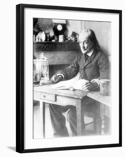 Jean-Henri Fabre, French Entomologist-Science Source-Framed Giclee Print