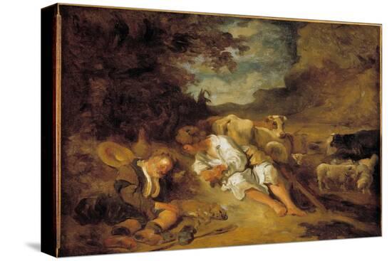 Stretched Canvas Print, , large