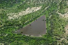 Aerial view of river, African Elephants (Loxodonta africana) and tourist lodge, Botswana-Jean Hosking-Photographic Print