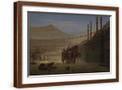 Brown Frame