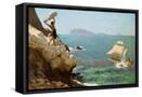 Canvas Black