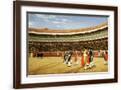 Brown Frame