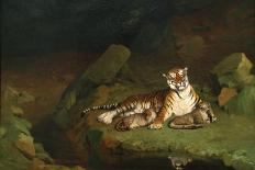 Tiger and Cubs-Jean Leon Gerome-Art Print