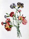 Bouquet of Foxglove, Poppy and Peonie-Jean Louis Prevost-Giclee Print