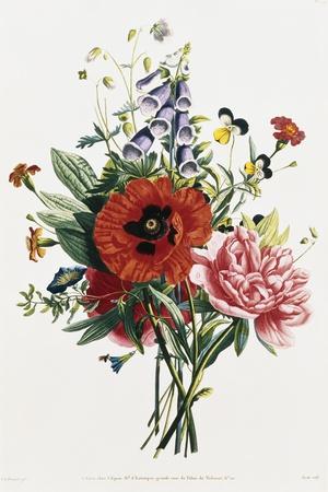 Bouquet of Foxglove, Poppy, and Peony
