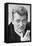 Jean Marais-null-Framed Stretched Canvas