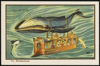 Whale-Bus