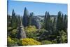 Jean-Marie Tjibaou Cultural Centre, Noumea, New Caledonia, Pacific-Michael Runkel-Stretched Canvas