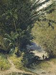 A Bamboo Grove in Trinidad-Jean-michel Cazabon-Mounted Giclee Print