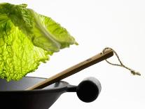 Savoy Cabbage Leaf Falling into a Wok-Jean-Michel Georges-Stretched Canvas