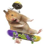 Hamster with Skateboard and Helmet-Jean-Michel Labat-Photographic Print