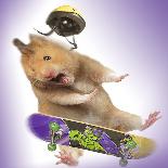 Hamster with Skateboard and Helmet-Jean-Michel Labat-Photographic Print