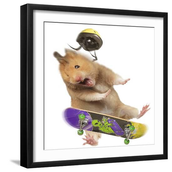 Photographic Print, , large