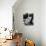 Jean-Paul Belmondo-null-Photo displayed on a wall