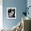 Jean-Paul Belmondo-null-Framed Photo displayed on a wall