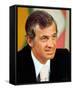 Jean-Paul Belmondo-null-Framed Stretched Canvas