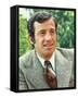 Jean-Paul Belmondo-null-Framed Stretched Canvas