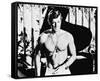 Jean-Paul Belmondo-null-Framed Stretched Canvas