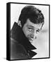 Jean-Paul Belmondo-null-Framed Stretched Canvas