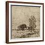 Brown Frame