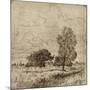 Wood Mount