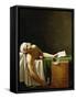 Jean Paul Marat, politician and publicist, dead in his bathtub, assassinated in 1793.-Jacques Louis David-Framed Stretched Canvas