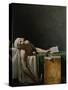 Jean Paul Marat, Politician, Dead in His Bathtub, Assassinated by Charlotte Corday, 1792-Jacques-Louis David-Stretched Canvas