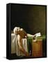 Jean Paul Marat, Politician, Dead in His Bathtub, Assassinated by Charlotte Corday in 1793-Jacques-Louis David-Framed Stretched Canvas