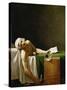 Jean Paul Marat, Politician, Dead in His Bathtub, Assassinated by Charlotte Corday in 1793-Jacques-Louis David-Stretched Canvas