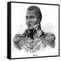 Jean Pierre Boyer, Haitian Soldier and President of Haiti, 1873-null-Framed Stretched Canvas