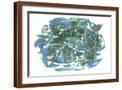 Brown Frame