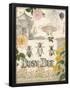 Essential Black