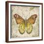 Brown Frame