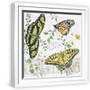 White Frame
