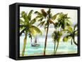 Canvas Black