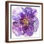 Brown Frame