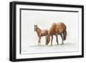 Black Frame