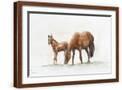 Brown Frame