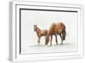 White Frame