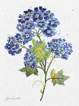 JP3794-Watercolor Flowers-Jean Plout-Giclee Print