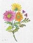 Just the Print